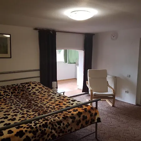 Homestay Casa Oriana Predeal